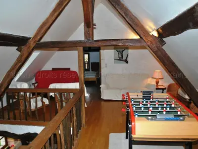 Billard dans l'établissement Fermette XIXe rénovée, proche zoo Beauval, animaux admis, jardin 1700m² - FR-1-381-322