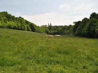 Paysage naturel près de la maison de vacances