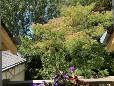 Jardin de l'établissement Gîte confortable avec parc boisé, activités familiales et équipements modernes près de la Loire - FR-1-381-470