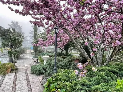 Jardin de l'établissement Garden Retreat Loire Riverside
