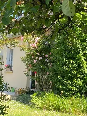 Jardin de l'établissement Le Hameau du moulin a vent
