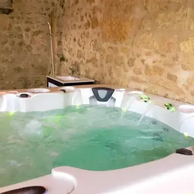 Élégante Demeure 17e avec Spa