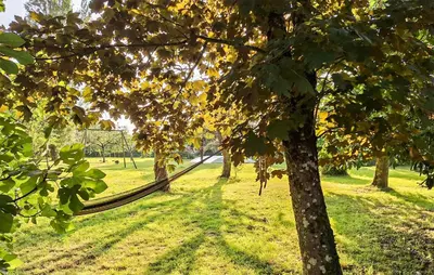 Jardin de l'établissement Cozy Home In Beauchene With Wifi