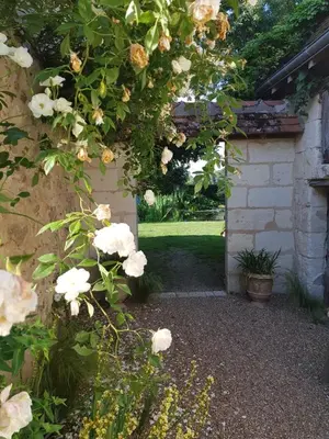 Jardin de l'établissement Le Clos Falaw