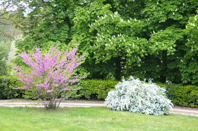 Jardin de l'établissement Gîte Le Haut-Perché, 4 personnes