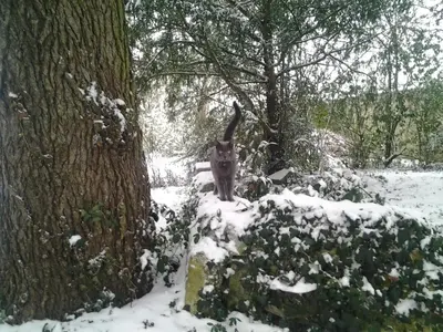 L'établissement La Renaudière en hiver