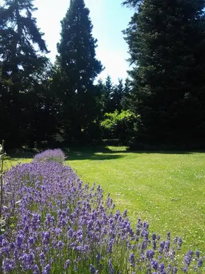 Jardin de l'établissement La Renaudière