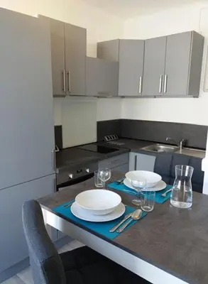 Cuisine ou kitchenette dans l'établissement Appartement sur l’ile de Saumur