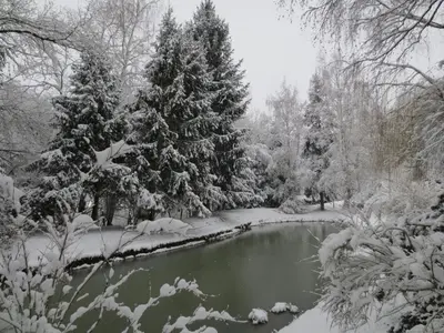 L'établissement La Maréchalerie en hiver