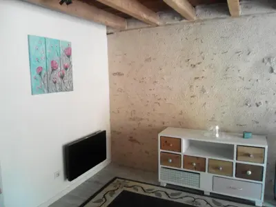 Télévision ou salle de divertissement dans l'établissement 21 Les Boissières