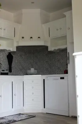 Cuisine ou kitchenette dans l'établissement Le Petit Nid de Beauval