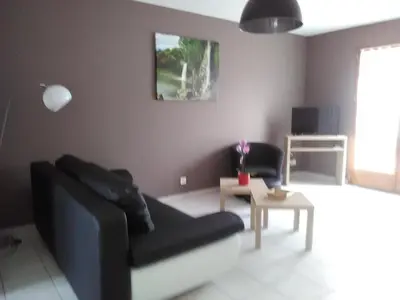 Coin salon dans l'établissement Gite Du Moulin Du Vivier