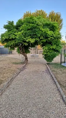 Jardin de l'établissement Gîtes Angulus Ridet