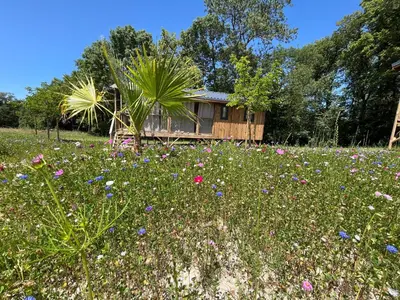 Jardin de l'établissement La Buissonnière Lodges