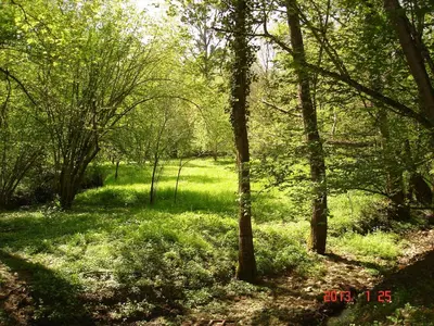 Paysage naturel près de le B&B/chambre d'hôtes