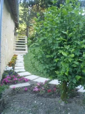 Jardin de l'établissement Le Moulin de Monternault