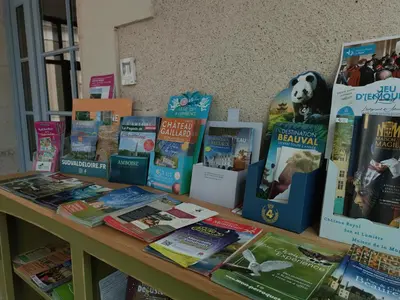 Bibliothèque dans la maison d'hôtes