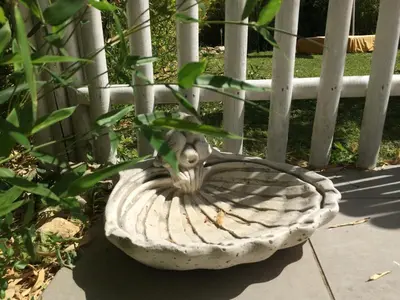 Jardin de l'établissement LA VILLA BOLERO