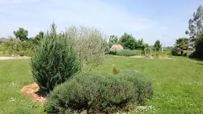 Jardin de l'établissement LE GRAND PARADIS