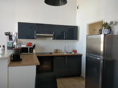 Cuisine ou kitchenette dans l'établissement Appartement de charme bord de Loire