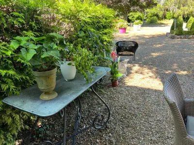 Jardin de l'établissement Chambres d'hôtes & Spa Les Perce Neige