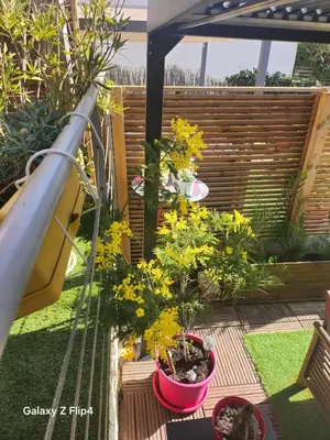 Jardin de l'établissement les oliviers