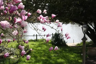Jardin de l'établissement Logis Hôtel Auberge du Port des Roches