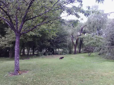Jardin de l'établissement CHAMBRE INDEPENDANTE DANS UN PARC