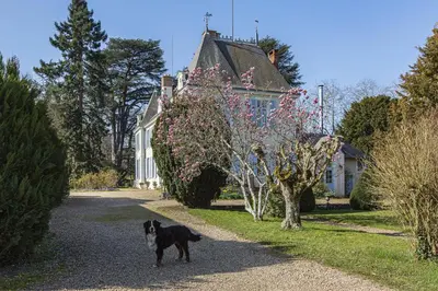 Animal ou animaux domestique(s) séjournant avec des clients dans l'établissement Manoir de la Voute maison d'hôtes