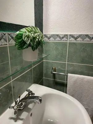 Salle de bains dans l'établissement Lilas, Dahlia, Palme Bleue