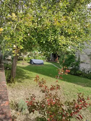 Jardin de l'établissement La maison de Joëlle