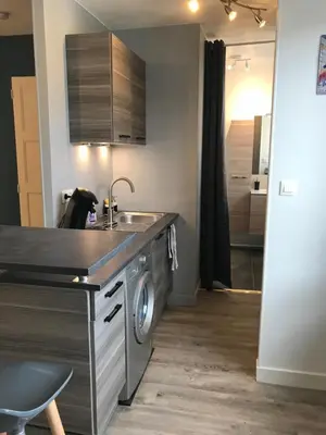 Cuisine ou kitchenette dans l'établissement Studio cozy hypercentre
