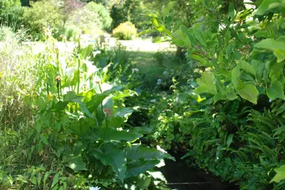 Jardin de l'établissement La Petite Marguerite