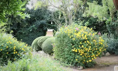 Jardin de l'établissement Wisteria Gite