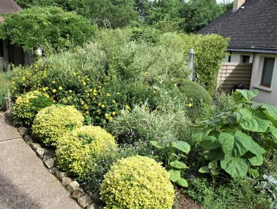 Jardin de l'établissement Paulanosa Gite