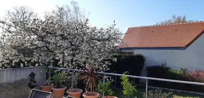 Jardin de l'établissement chambre d'hôte - La ruche des Bleuets