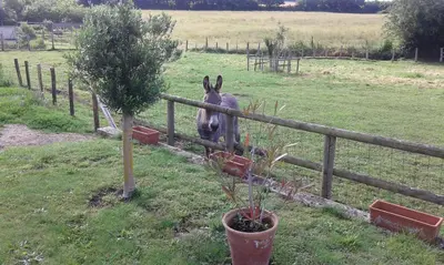 Jardin de l'établissement gite odeau