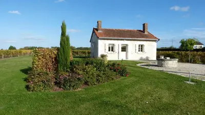 Jardin de l'établissement l'Ecrin au coeur des vignes