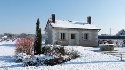 L'établissement l'Ecrin au coeur des vignes en hiver
