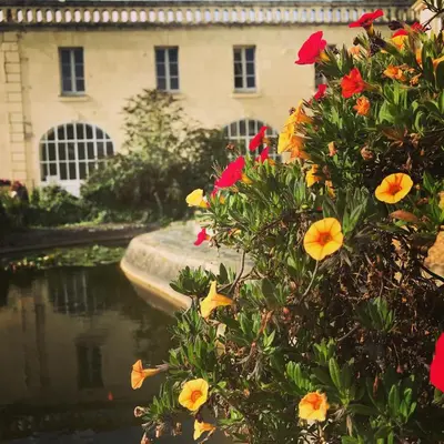 Jardin de l'établissement Demeure de Beaulieu