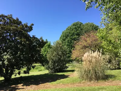 Jardin de l'établissement Au Bonheur Dupré B&B