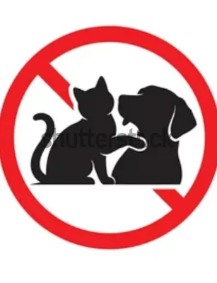 Animal ou animaux domestique(s) séjournant avec des clients dans l'établissement Loc126
