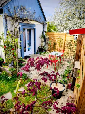 Jardin de l'établissement Studio Les coquelicots
