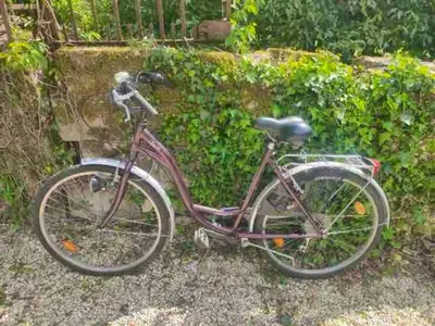 Vélo sur le terrain de l'établissement Maison accueillante à Bléré avec cheminée et terrasse ou dans les environs