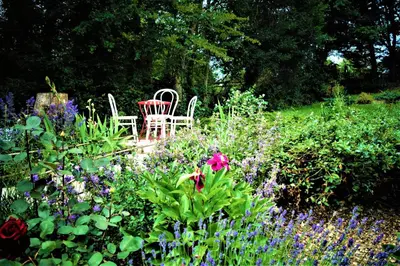 Jardin de l'établissement LA MAISON DE ROSE