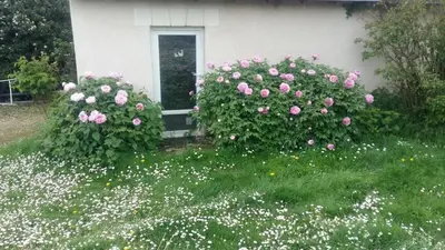 Jardin de l'établissement Chambre d'hôte Monthodon
