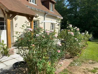 Jardin de l'établissement LE CLOS DU GOLF