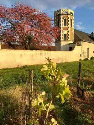 Jardin de l'établissement Gite de la Tour SPA PRIVÉ