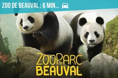 Animaux dans la maison de vacances ou à proximité