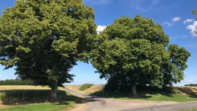 Paysage naturel près de l'appartement